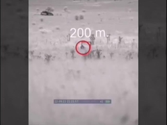 Telescópio de visão de imagens térmicas termo-monoculares Telescópio de imagens térmicas CHIRON SERIE