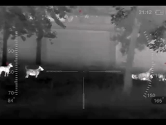 Monóculo de imagem térmica